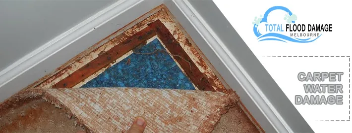 Include These Things About Removing Water Damage From The Carpet