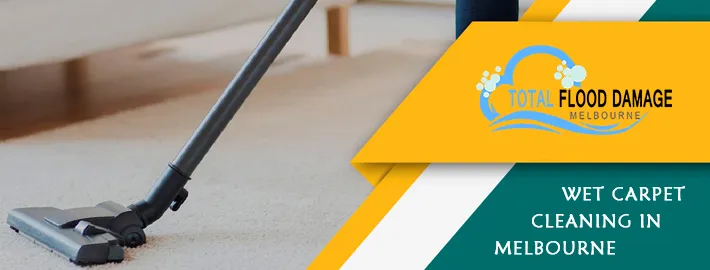 Is Hiring a Professional Carpet Cleaning Company Beneficial?