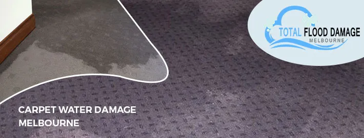 Is It Crucial to Act Fast in Water Damage Restoration?
