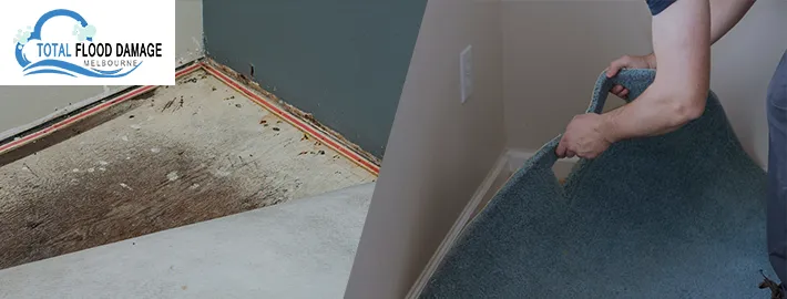 Is it really necessary to hire a carpet water damage company?