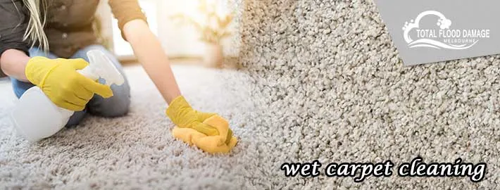 Key Factors to Consider for Wet Carpet Drying Services