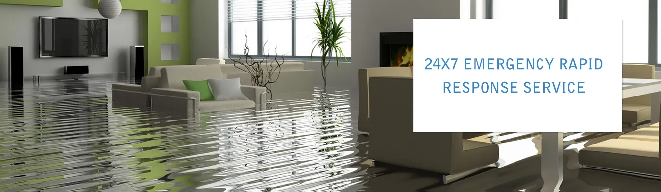 What You Should Know Prior To Picking Water Damages Healing Firm?
