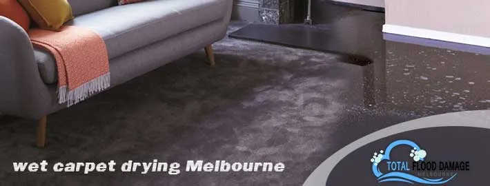 Common Wet Carpet Cleaning Myths After Flood Damage