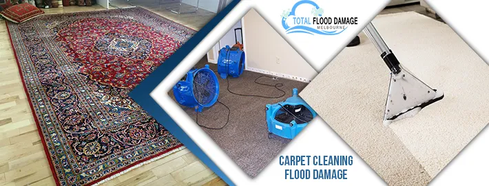 carpet flood damage prevention