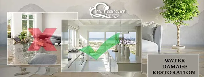 Why You Need a Water Damage Restoration Company
