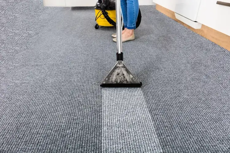 Note Down a Few Tips to Remove Water Damage from The Carpet
