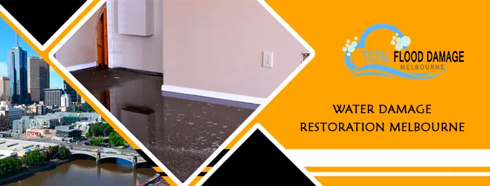 Noteworthy Tips That Helps in DIY Water Damage Restoration