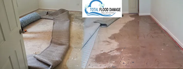 Reasons that You Should Quickly and Effectively Clean Your Water Damaged Carpet