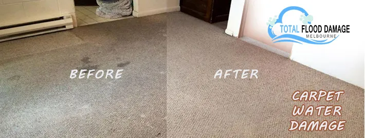 How to Recover From Carpet Water Damage: A Beginner's Guide