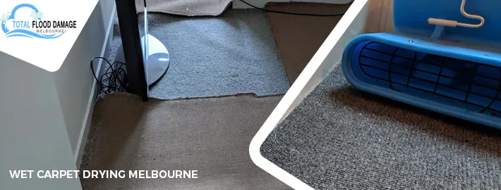 Why You Should Rely on Professional Wet Carpet Cleaners