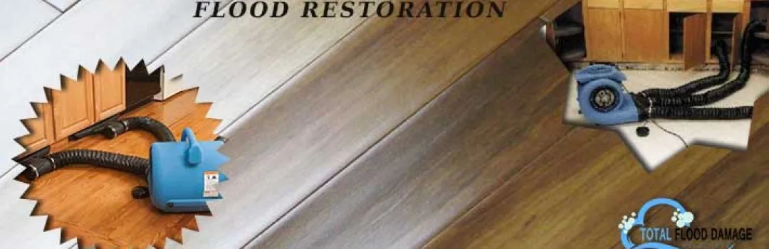 Flood Damage