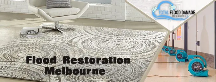 Service Provided By A Skilled Flood Restoration Company