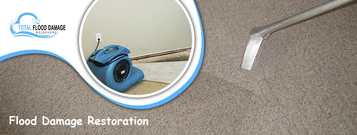 Reasons That Sway You To Hire Professionals For Wet Carpet Services