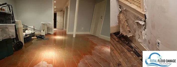 Steps to Take While Dealing with Carpet Water Damage
