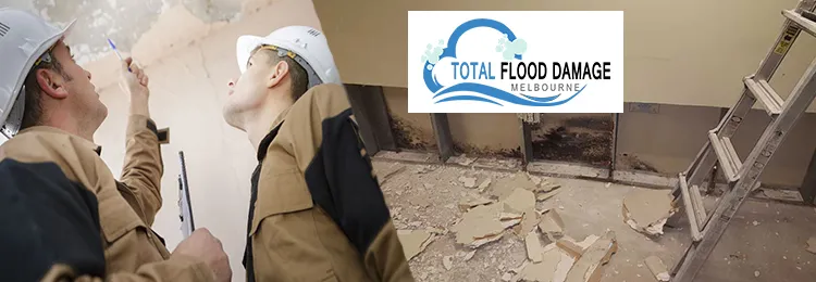 Strong Water Damage Signs That You Should Never Ignore