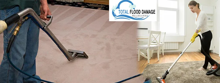 That is How You Can Ensure That Your Carpet is Cleaned in The Right Way