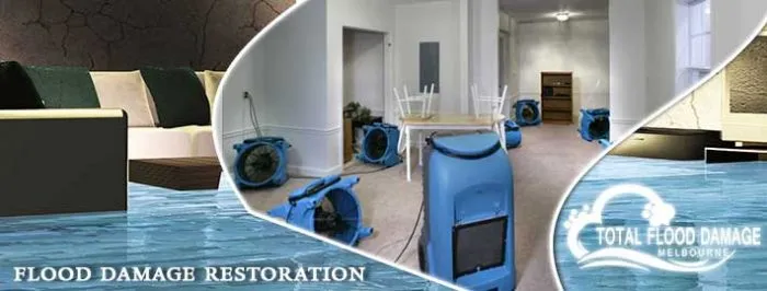 The Best Company at Your Rescue When the Flood Damage Strikes