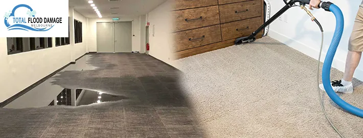 The Best Deep Cleaning Techniques by Experts for Wet Carpets