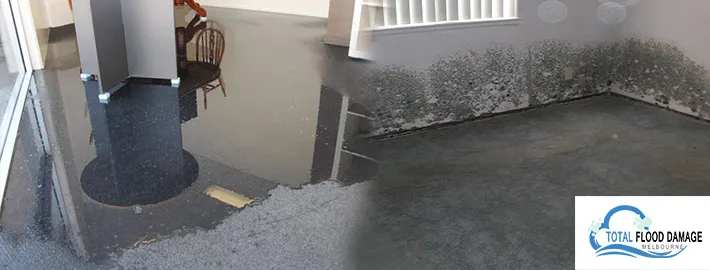 water damage Melbourne