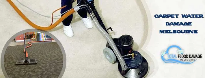 The Importance of Expert carpet water damage Melbourne Services