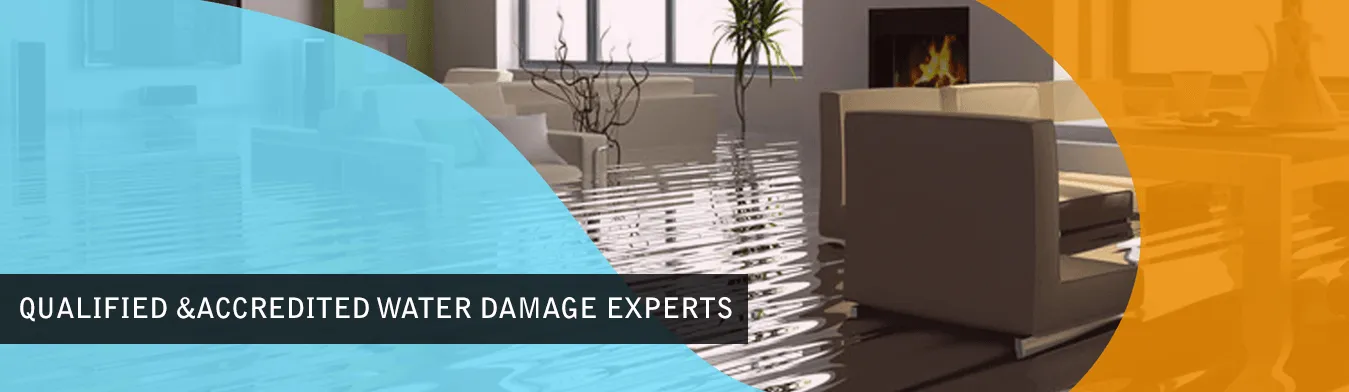 Tips Related to Carpet Cleaning With Alcohol and Food Spills