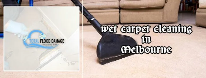 Top Tactics to Get Rid of Wet Carpet Cleaning from Professionals
