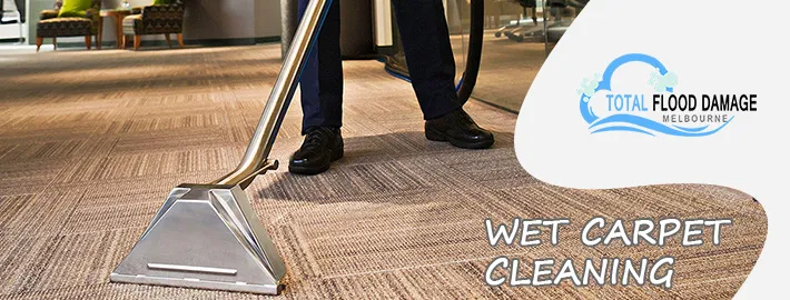 The Benefits of Professional Wet Carpet Cleaning Services