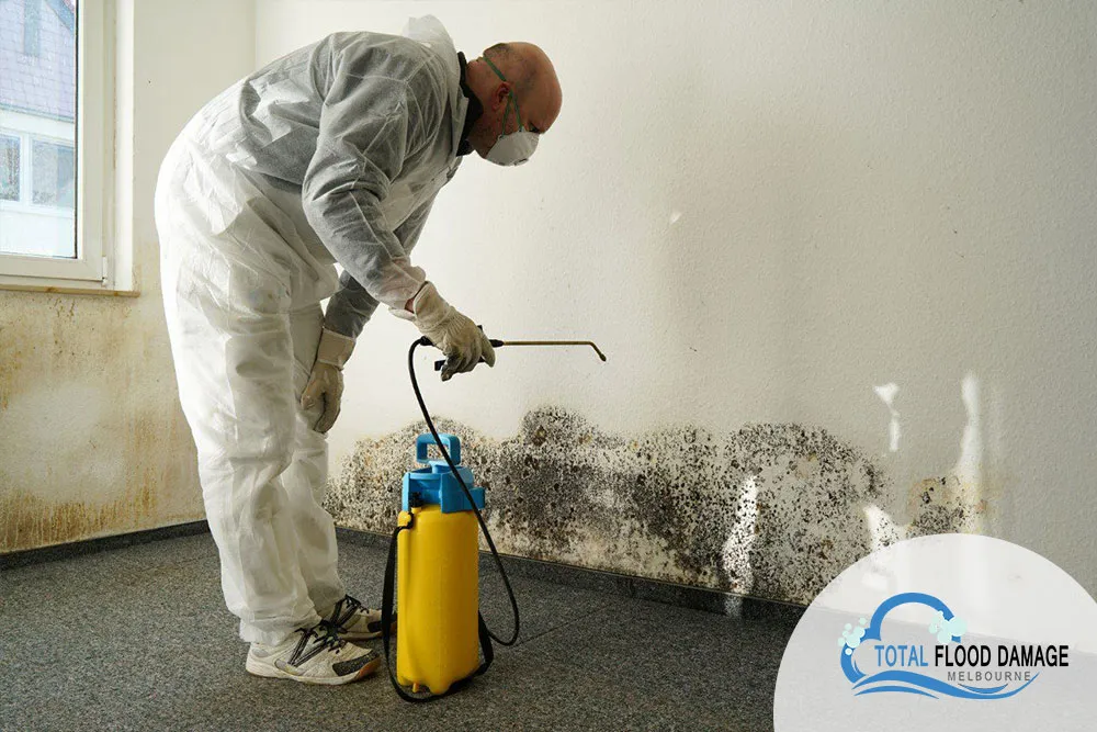 Warning Signs of Water Damage You Should Watch Out For