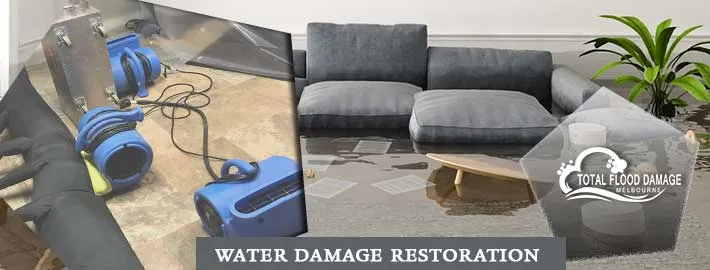 Why Water Damage Restoration Needs a Professional Approach