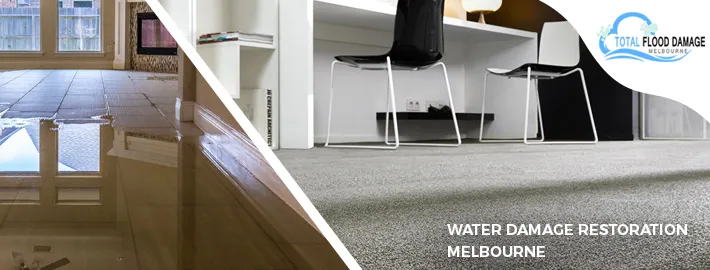 Why Water Damage Restoration Needs a Keen Eye and Fast Response