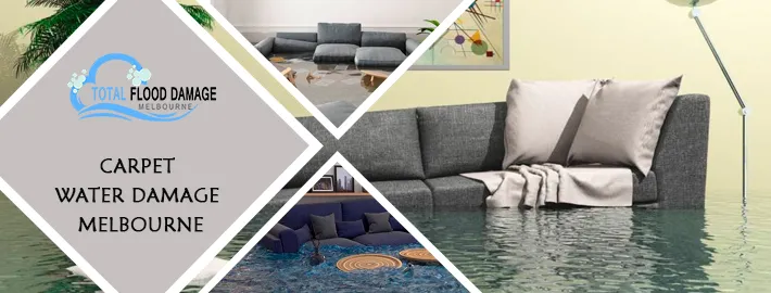 Flood Restoration Melbourne