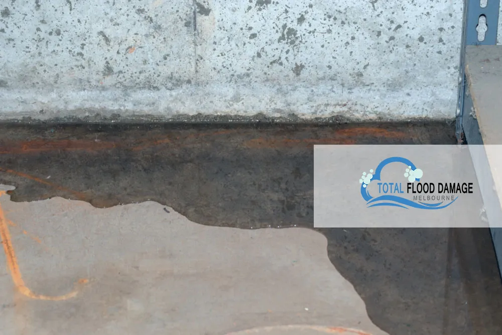 Water Damage: What to Do If It Happens to You