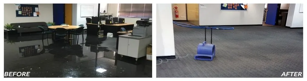 Flood Restoration Melbourne