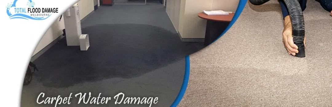 Flood Restoration