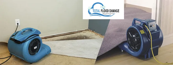 Wet Carpet Cleaning Myths That You Must Know