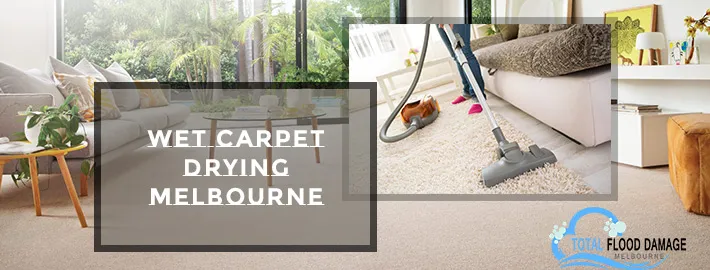 Wet Carpet Drying: How to Quickly and Easily Remove Water from Your Carpet?