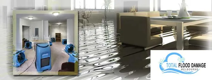 Wet Carpet Drying Melbourne Myths Everyone Should Know!