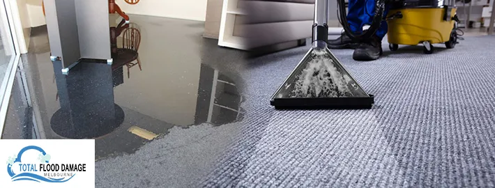 Wet Carpet Drying | Prevent the Mould Growth After Carpet Water Damage