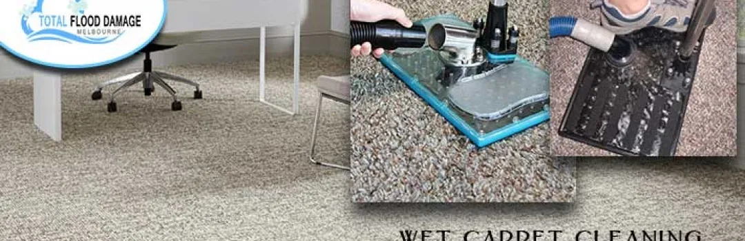 wet carpet cleaning