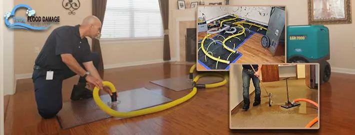 Wet Carpet in Melbourne: Dealing with Soggy, Smelly, and Stained Floors