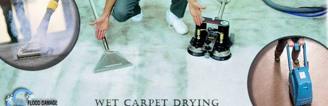 wet carpet cleaning Melbourne
