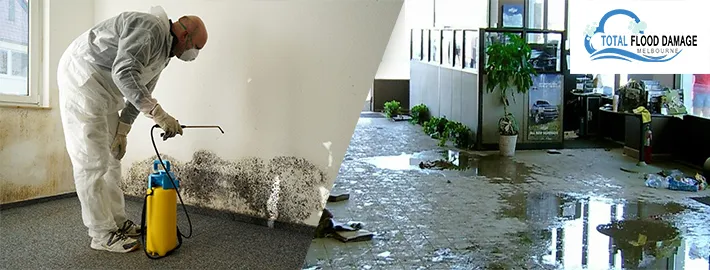 What Are The Effective Ways To Prevent Bathroom Water Damage?