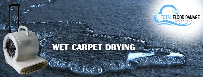 Wet Carpet Drying Myths Debunked By Cleaning Experts