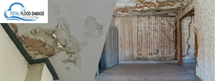 What Are Your Water Damage Restoration Options?