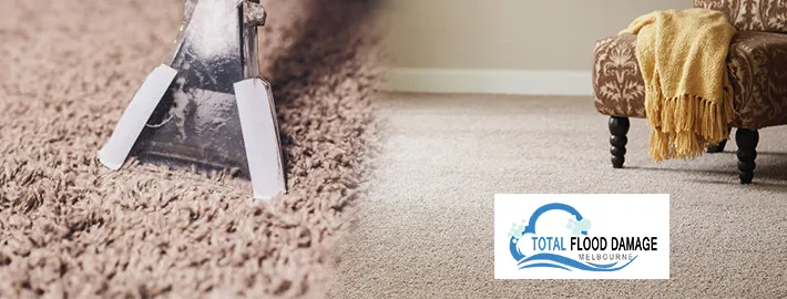 What Health Issues You Could Have With Water Damaged Carpets?