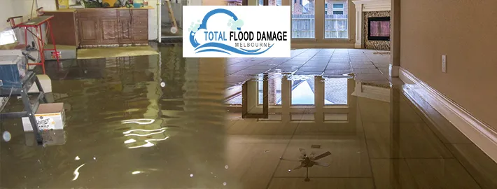 What Is Water Damage Restoration? Find Out a Complete Guide