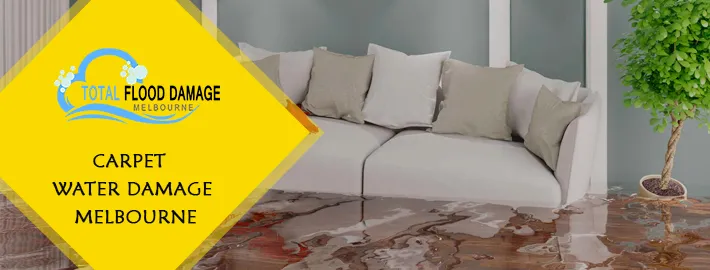 What Should You Do During Burst Pipe Flooding? Handle Wisely!