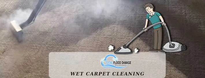 What to Do After a Professional Wet Carpet Cleaning