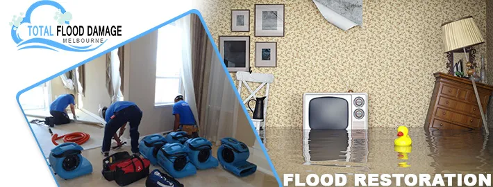 Flood Restoration Melbourne