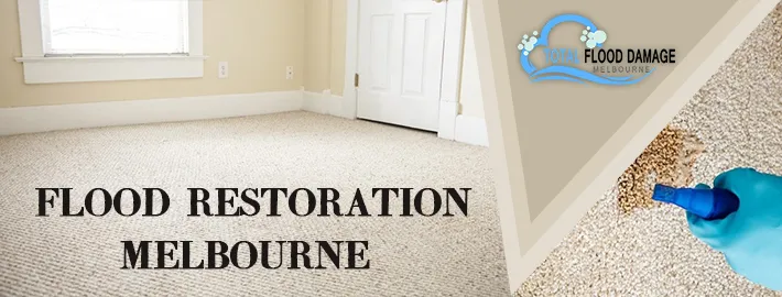 What to Look for When Choosing a Flood Restoration Melbourne?